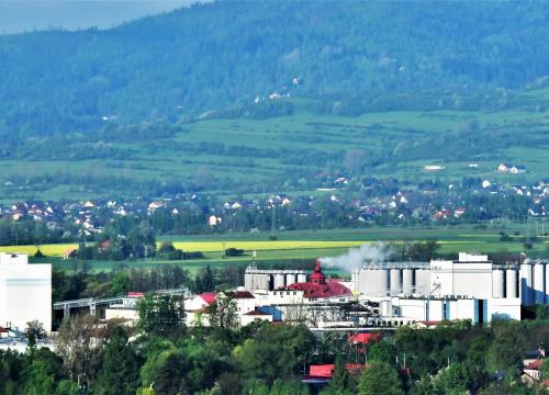 Szlak PTTK na Grojec