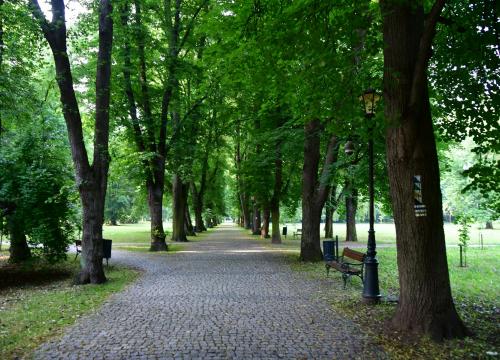 Przyrodniczy Szlak Spacerowy po Żywcu