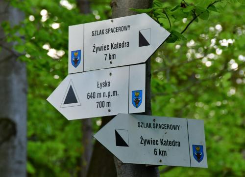 Miejski Szlak Spacerowy na Łyskę