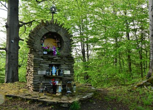 Miejski Szlak Spacerowy na Łyskę