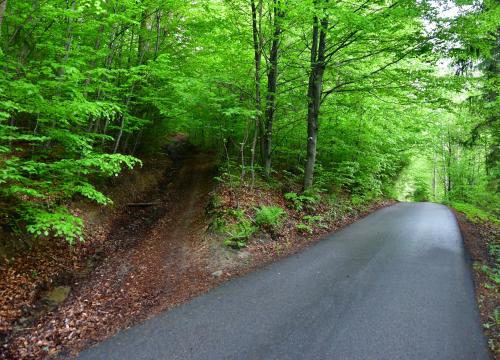 Miejski Szlak Spacerowy na Łyskę