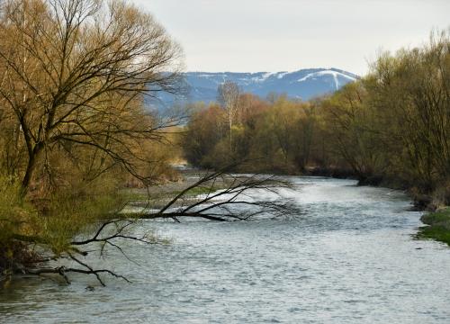 Przyrodniczy Szlak Spacerowy po Żywcu