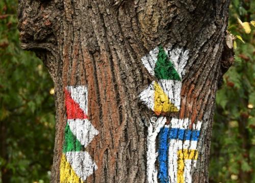 Żywiec dla Aktywnych